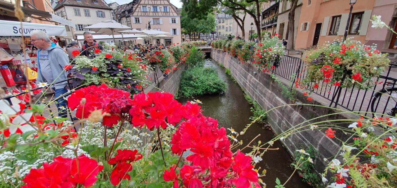 Ferienwohnung Le Blue St Léon : 2 pièces COZY Lit King Size WIFI Colmar Exterior foto